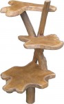 branch display