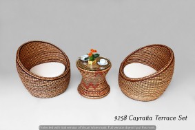 Cayratia Terrace Set