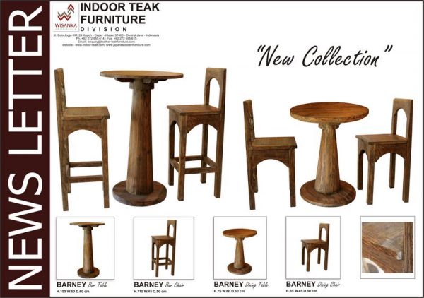 News Letter Barney Set