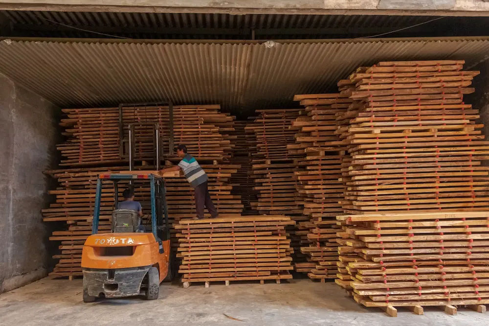 Sustainable Teak Wood Raw Material Processing Can Increase Efficiency