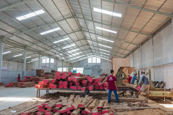 Sustainable Teak Wood Raw Material Processing Can Increase Efficiency